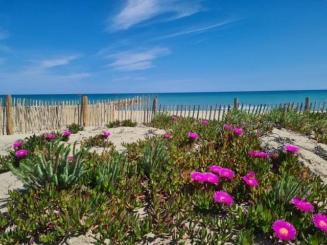 Confortable Studio Cabine - Acces Plage- Vue Mer 4Tvp38 Le Barcarès المظهر الخارجي الصورة
